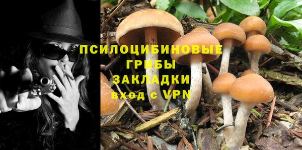 синтетический гашиш Богданович