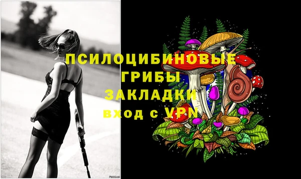 МДМА Богородицк