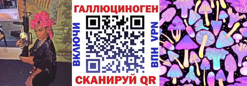 OMG маркетплейс  Кохма  Псилоцибиновые грибы мицелий 